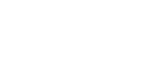 POLIVISOR